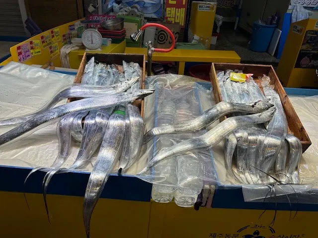 Dongmun Market (동문시장) foto 9