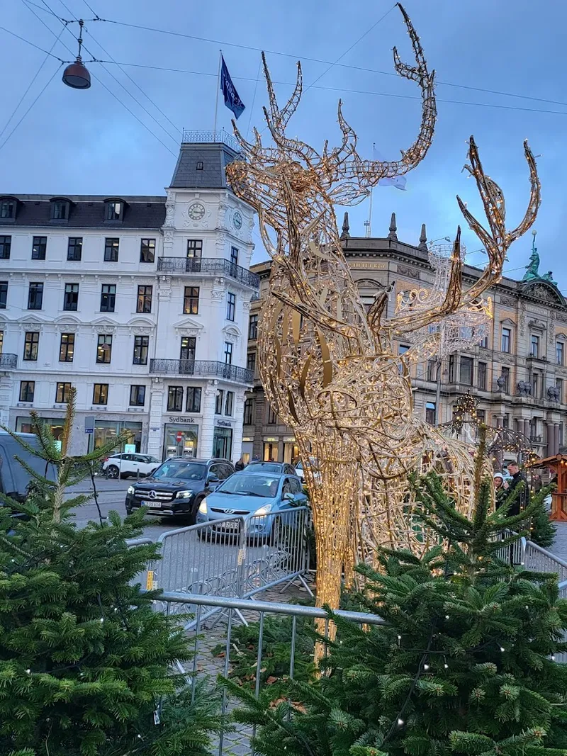 Kongens Nytorv photo 8