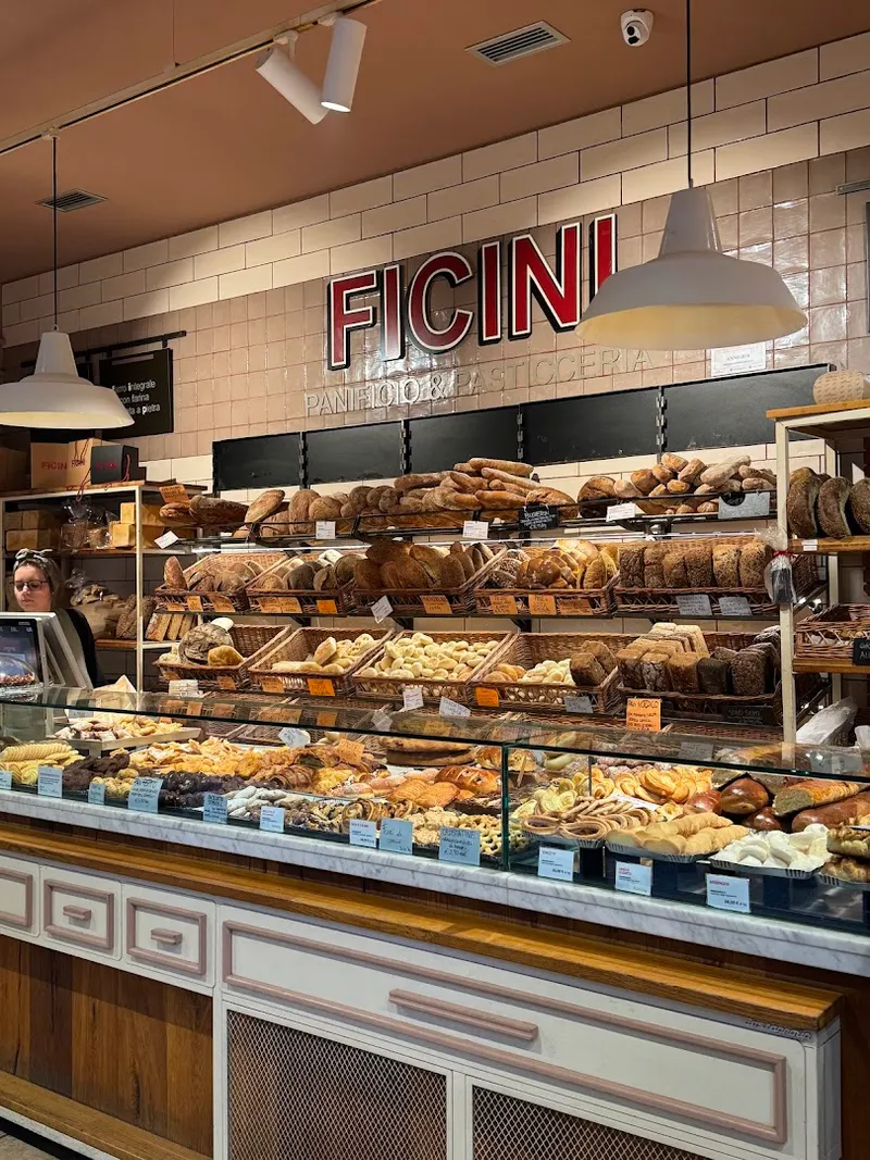 Ficini photo 5